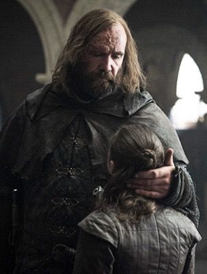 GoT S8.5 Sandor Clegane, Game Of Thrones Arya, Rory Mccann, Game Of Thrones Facts, Game Of Thrones Poster, Game Of Thrones Tv, Got Game Of Thrones, Game Of Thrones Quotes, The North Remembers