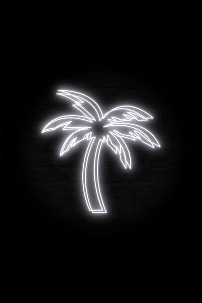 A palm tree outline with a vaporwave vibe! This design is featured with a white color. White Neon Background, Black And White Neon Aesthetic, Black Neon Aesthetic, White Neon Aesthetic, Palm Tree Outline, Dark Widgets, Black Palm Tree, Neon Icons, Black And White Wallpaper Iphone