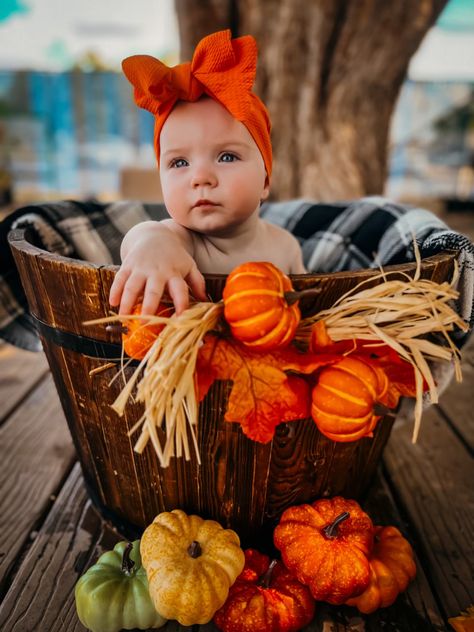 Fall pictures with baby and pumpkins sunflowers 6 month photoshoot Fall Baby Pictures 9 Months, 1st Fall Photoshoot, 8 Month Old Fall Photos, 4 Month Old Fall Pictures, 3 Month Old Fall Photoshoot, 4 Month Old Fall Photoshoot, One Year Old Fall Photoshoot, 1st Birthday Fall Photoshoot, October 6 Month Baby Pictures