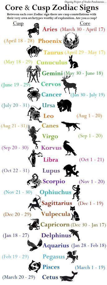 Astrology Study, Cusp Signs, Zodiac Cusp, Free Tarot Cards, Astrology Meaning, Zodiac Signs Chart, Learning Tarot Cards, Numerology Life Path, Free Tarot Reading