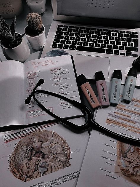 Medicine Academia Aesthetic, Doctor Romance Aesthetic, Taking Meds Aesthetic, Medicine Dark Aesthetic, Medic Aesthetic Dark, Doctor Dream, Soft Academia, Light Academia Aesthetic, Sports Romance