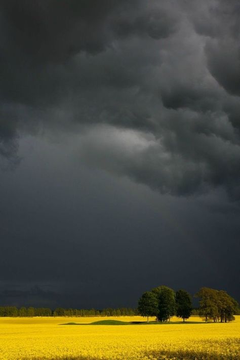 Matka Natura, Dark Sky, Storm Clouds, Book Layout, Alam Yang Indah, Nature Aesthetic, Sky Aesthetic, Drawing Techniques, Natural Disasters