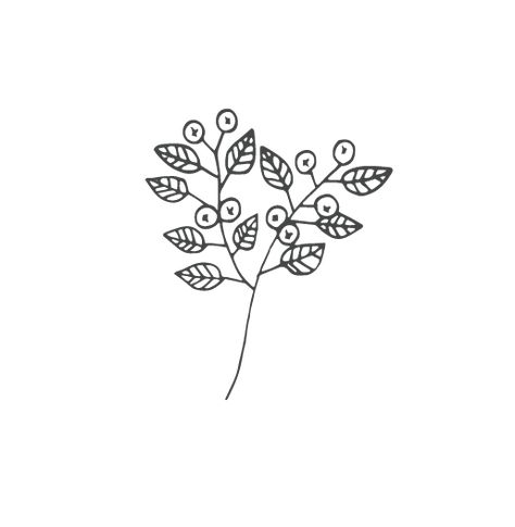 Blueberry Tattoo Small Minimalist, Blueberry Outline, Blueberry Tattoo Minimalist, Blueberry Line Art, Wild Blueberry Tattoo, Blueberry Tattoo, Blueberry Branch Illustration, Side Hand Tattoos, Branch Drawing