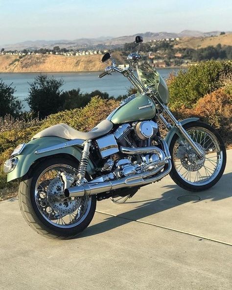 Custom Dyna, Dyna Club Style, Custom Motorcycle Paint Jobs, Dyna Low Rider, Motorcycle Paint Jobs, Custom Sportster, Motorcycle Culture, Cycle Ride, Harley Dyna