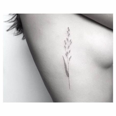 Delicate Bedroom, Grass Tattoo, Wheat Tattoo, 27 Tattoo, Virgo Tattoo Designs, Thistle Tattoo, Small Sister Tattoos, Lavender Tattoo, Ribcage Tattoo