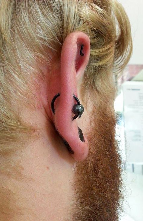 Top Orbital Piercing, Orbital Piercing, Ear Tattoo, Behind Ear Tattoo, Body Art, Piercings, Tattoos, Art