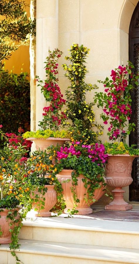 Echoes of ancient Mediterranean civilizations resonate in this stunning terra cotta pottery. Drawing on classic Italian designs, these garden planters call for noble placement on a sweeping veranda or in a quaint courtyard. | Frontgate: Live Beautifully Outdoors: Italian Garden Ideas, Pottery Drawing, Ancient Mediterranean, Mediterranean Garden Design, Outdoor Vases, Terra Cotta Pottery, Tuscan Garden, Mediterranean Landscaping, Italian Garden