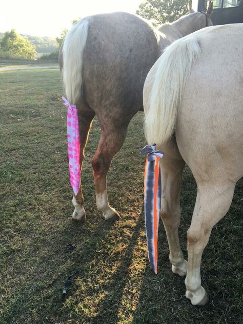 Horse Tail Bags, Tail Bags For Horses, Horse Items, Barn Hacks, Diy Horse, Polo Wraps, Horse Tail, Horse Treats, Horse Crafts