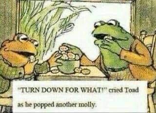 Turn Down For What, This Is Your Life, Mia 3, Frog And Toad, Memes Humor, E Card, What’s Going On, Pics Art, Toad