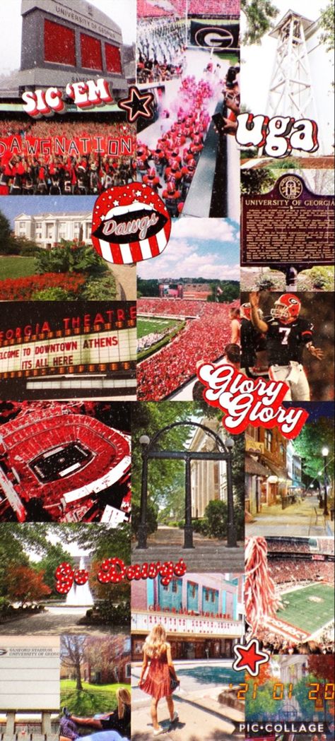 University Of Georgia Wallpaper, University Of Georgia Aesthetic, Uga Aesthetic, Georgia Bulldogs Wallpaper, Football Vibe, Slay Wallpapers, Georgia Wallpaper, Bulldog Wallpaper, Uga Football