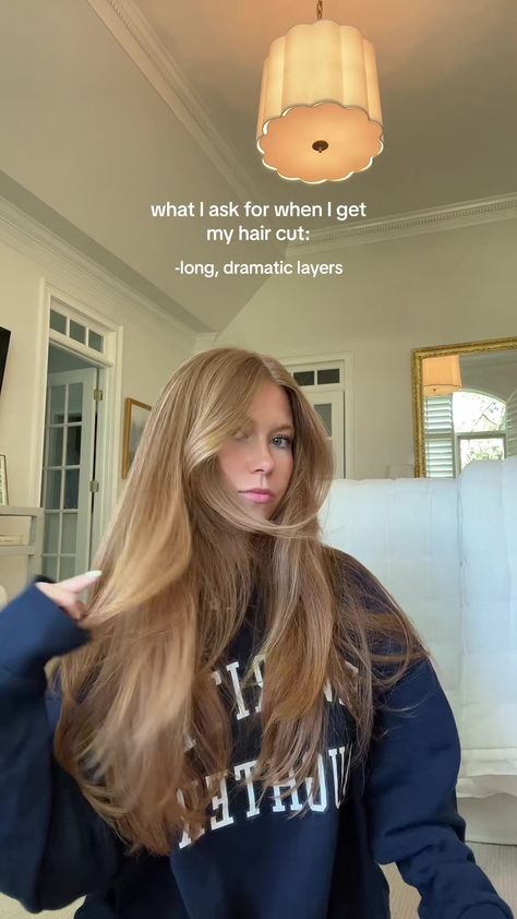 the 4 things I always ask for!! feel free to save 💌 #haircut #hairtok Lauren Loveless Hair, Lauren Loveless, The 4, Hair Inspo, Twitter Image, Hair Makeup, Hair Care, Hair Cuts, Feel Free