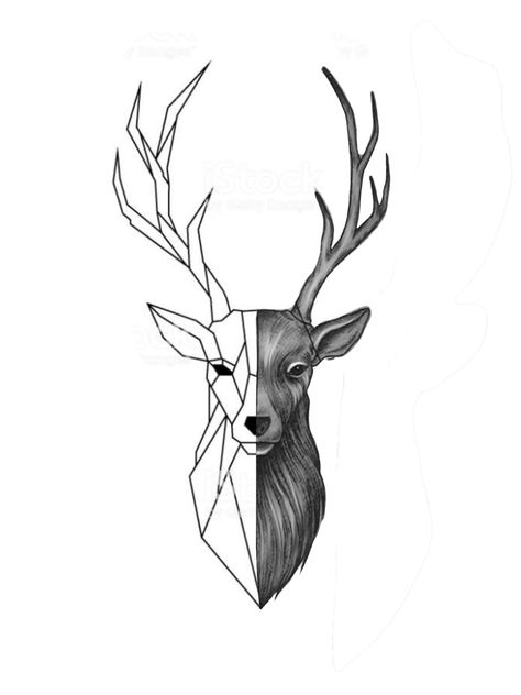 Tattoo Shop Interior, Deer Head Tattoo, Elk Tattoo, Deer Skull Tattoos, Deer Tattoo Designs, Hunting Tattoos, Deer Drawing, Capricorn Tattoo, Deer Tattoo