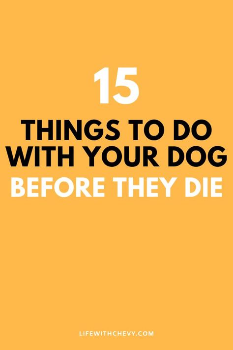 things to do with your dog Dog Essentials Products, Dog Bucket List, Bucket List Quotes, Dog At Home, Relaxed Dog, Bucket List Life, Dog Movies, Dog Died, Tail Wagging