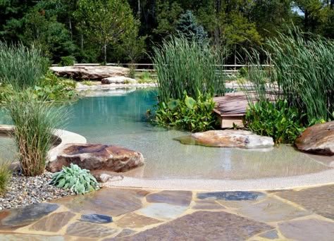 Natural swimming pool. Uses a natural water filtration system instead of chlorine. Love the ambience it gives-- useful for the gorgeous look even when the weather is too cold for swimming. Large Pond, Natural Swimming Ponds, Swimming Pond, Backyard Beach, Small Pool Design, Natural Swimming Pools, Natural Swimming Pool, Dream Pools, Have Inspiration