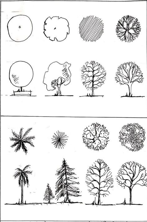 Sculpting Your Landscape: Landscape Design Services Tree In Architecture Drawing, Vegetation Architecture Drawing, Trees Sketch Architecture, Trees Architecture Drawing, Architectural Trees Plan And Elevation, Architecture Tree Sketch, Tree Architecture Drawing, Architectural Trees, Architecture Symbols