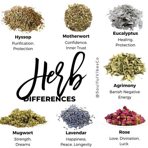 Cleansing Herbs, Magickal Herbs, Witch Herbs, Kitchen Witchery, Magic Herbs, Magical Herbs, Herbal Apothecary, Herbal Healing, Herbal Magic