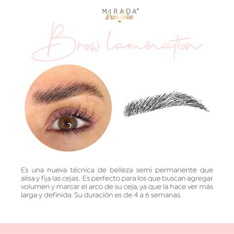 Lo más 🔝 en cejas Eyebrow Lamination Quotes, Eyebrow Care, Brow Studio, Esthetician Marketing, Eyelash Technician, Brow Artist, Brow Lash, Brow Lamination, Instagram Makeup