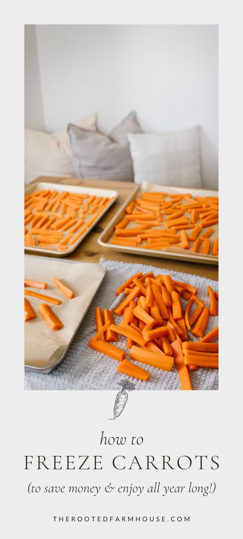 This tutorial on how to freeze carrots can be accomplished in a few hours with the tools that you have on hand.When it comes to food preservation freezing can be such a valuable skill that can save you time and money. It allows you to become more self-sufficient and provides you with easy meal ingredients right in your freezer. Freezer Carrots, How To Freeze Carrots, Freezing Carrots, Cozy Fall Recipes, Matchstick Carrots, Freezing Food, Carrot Fries, Vegetable Peeler, Food Preservation