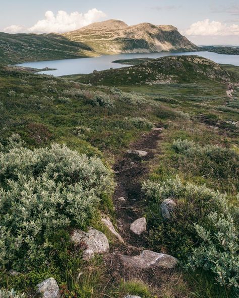 Guide to hiking Gaustatoppen in Telemark, Norway - How to see one-sixth of mainland Norway from Telemark’s highest mountain + Best Tips & Routes to the Top. #mountain #norway #scandinavia Telemark Norway, Norway Travel Guide, Beginner Poses, Hiking Routes, Hiking Guide, Cabin Camping, Norway Travel, Stavanger, Park Hotel