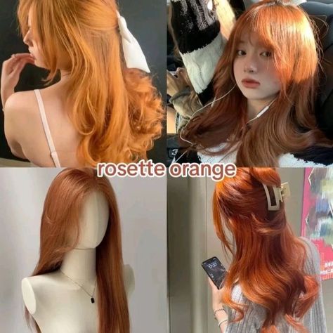 Colors For Warm Undertones, Hair Colors For Warm Undertones, Warm Undertone Hair Color, Dyed Ginger Hair, Paprika Hair Color, Color Analysis Test, Glow Up Plan, Korean Hair Color, Hair Inspiration Long