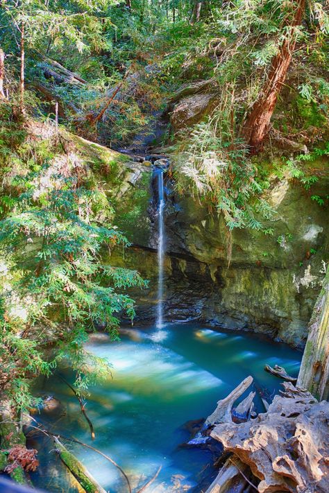 Boulder Creek California, Big Basin, California Redwoods, Boulder Creek, Santa Cruz Mountains, Muir Woods, Places In California, Redwood Forest, Pacific Coast Highway