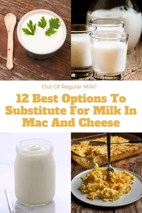 Are you searching for the best substitute for milk for your mac and cheese recipe? Search no more! Check out these 12 Best Substitutes for Milk in Mac and Cheese. Substitute For Milk In Cooking, Mac And Cheese No Milk, Homeade Mac And Cheese, Mac And Cheese Without Milk, Basic Mac And Cheese Recipe, Milk Substitute For Cooking, Substitute For Milk, Ingredients Substitutions, Evaporated Milk Substitute