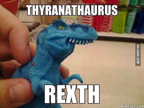 Okay... I laughed a little too hard at this one. Dinosaur Meme, T Rex Humor, Dinosaur Pictures, Dinosaur Funny, Can't Stop Laughing, Bones Funny, New Memes, T Rex, Really Funny