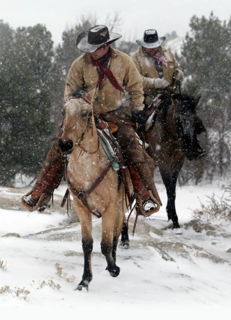 Arte Cowboy, Cowboy Photography, Cowboy Pictures, Cowboy Aesthetic, Western Artwork, Real Cowboys, Western Photography, Wilde Westen, Cowboy Horse