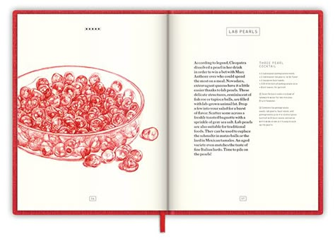 Cookbooks Aesthetic, Recipe Book Illustration, Recipes Graphic Design, Recipe Book Layout, Aesthetic Cookbook, Cookbook Aesthetic, Cookbook Design Layout, Cookbook Illustration, Recipe Layout