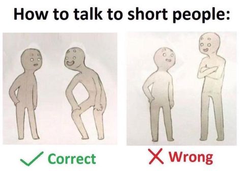 How to talk to short people Short People Problems, Short Person, Funny Text Posts, Short People, How To Talk, Teen Posts, Edgy Memes, Funny Animal Pictures, Tumblr Funny