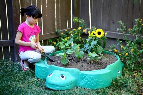 How to Use a Sandbox as a Vegetable Planter | Hometalk Turtle Planter, Kids Sandbox, Automatic Watering System, Garden Goals, Vegetable Planters, Cucumber Plant, Diy Planter Box, Drip Irrigation System, Plant Strong