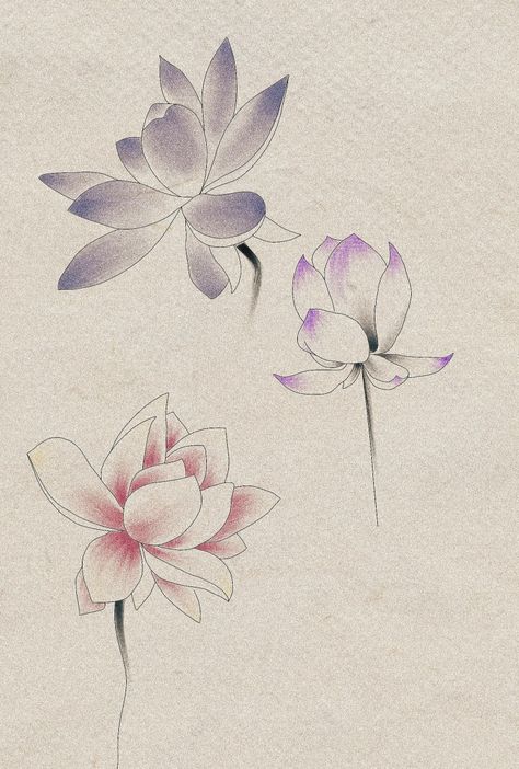 Water Sketch, Tattoo Sketch, Water Colour, Color Effect, Water Lily, Water Lilies, Tattoo Sketches, Lotus Flower Tattoo, Maple Leaf Tattoo