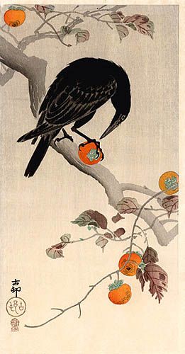 hanga gallery . . . torii gallery: Crow Eating Pomegranate by Ohara Koson Crow Eating, Art Chinois, Ohara Koson, Crow Art, Art Japonais, Japanese Woodblock Printing, Japanese Painting, Japan Art, Japanese Prints