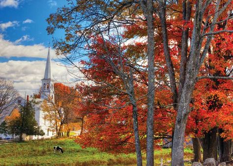 Fall Foliage Trips, Vermont Fall, Fall Festivals, New England States, New England Travel, New England Fall, Fall Travel, Autumn Landscape, Scenic Drive