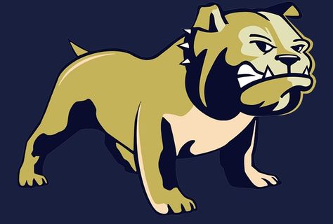 The Official Website of Wingate University Athletics Wingate University, Pharmacy School, Football Tailgate, Pharmacy, Scooby Doo, Bulldog, University, Cricut, Football