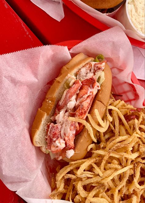 Lobster Roll Aesthetic, Bbq Lobster, Lobster Aesthetic, Maine Lobster Roll, New England Food, Lobster Food, Maine Aesthetic, England Food, England Road Trip