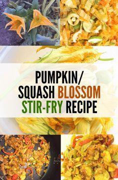 Pumpkin/squash blossom recipe (stir-fry). A delicious seasonal savory delicacy. Pumpkin Blossom Recipe, Fried Squash Blossom Recipe, Pumpkin Blossoms, Squash Blossom Recipe, Fried Squash Blossoms, Zucchini Flowers, Prep Meals, Squash Blossoms, Recipe Pumpkin