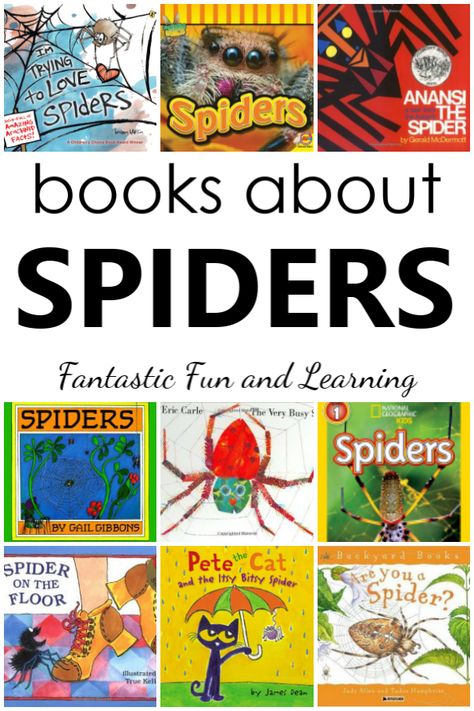 Learn about spiders with this collection of fiction and nonfiction spider books for kids. Whether you're looking for spider books for preschoolers during a letter S week, spider books for kindergarten Halloween activities, or some books about spiders for curious kids, you'll find tons of great spider book ideas here. #preschool #kindergarten #halloween #spidertheme #booklist #kidlit #earlyliteracy Spider Language Activities Preschool, Spider Books For Preschool, Spider And Bats Preschool, Preschool Spider Theme, Preschool Spiders, Spider Lessons, Spiders Preschool, Halloween Kindergarten Activities, October Themes