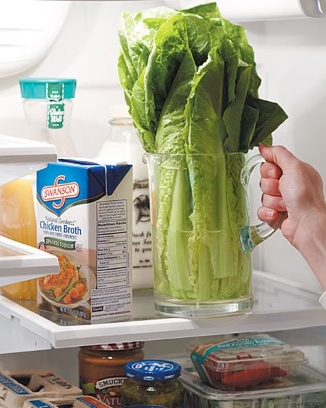 How to Properly Store Romaine Lettuce Romaine Lettuce, Space Saver, Baking Tips, Fruits And Veggies, No Cook Meals, Food Hacks, Good Eats, Cooking Tips, Cooking And Baking