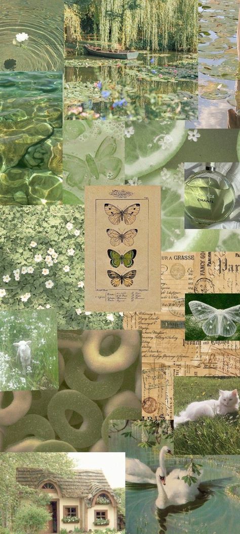 Mint Green Aesthetic Collage, Green Fairy Wallpaper Aesthetic, Light Green Phone Wallpaper Aesthetic, Light Green Aesthetic Collage, Green Plant Aesthetic Wallpaper, Fairy Green Wallpaper, Luvsoft Green, Light Green Background Wallpapers, Light Green Phone Wallpaper