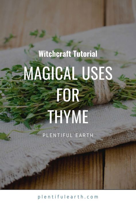 Spiritual Uses Of Thyme, Magical Properties Of Thyme, Thyme Properties Magic, Thyme Magical Properties, Earth Spirituality, Thyme Benefits, Thyme Uses, Herb Magick, Witches Garden