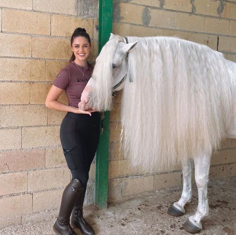 Erin Williams, Flat Riding Boots, Dan Bilzerian, 3 Horses, Cute Horse Pictures, Horse Things, Equestrian Girls, Cowboy Girl, Beautiful Horse