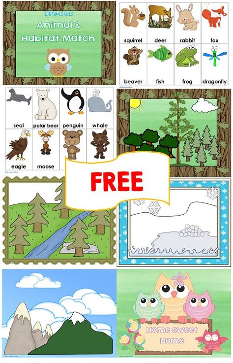 FREE animal-habitat-match printable with 4 habitats and 16 animals.  A nice FREE download.  Print and get ready for back to school.  Download at:  https://www.thewiseowlfactory.com/archives/13570 Animal Habitats Preschool, Habitat Activities, Animal Habitat, 1st Grade Science, Kindergarten Science, Animal Activities, Preschool Science, Animal Habitats, Photo Charms