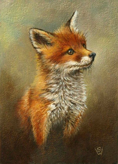 Fox Artwork, Fox Images, Grass Painting, Fox Pictures, Fox Painting, Smart Art, Wildlife Paintings, Painting Art Lesson, Art Diary