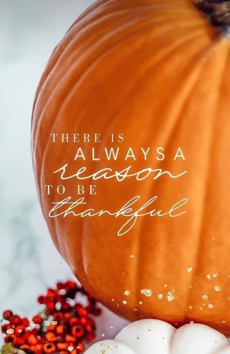 Fall Time Quotes, Inspirational Desktop Wallpaper, New Month Quotes, Happy Thanksgiving Images, Thanksgiving Blessings, Autumn Wine, Thanksgiving Wishes, Family Story, Thanksgiving Images