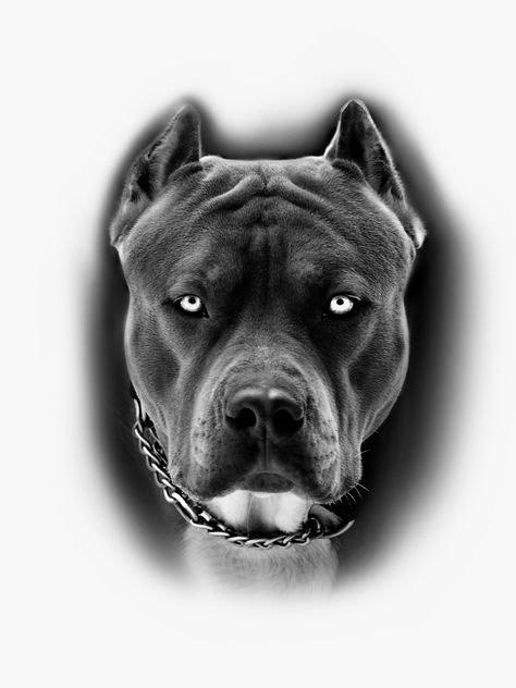 Tattoo Ideas Pitbull, Pitbull Dog Tattoo Ideas, Staff Tattoo Dog, Black Pitbull Tattoo, Pitbull Tattoo For Men, Dogo Argentino Tattoo, People With Anger Issues, American Bully Tattoo, Pitbull Tattoo Ideas