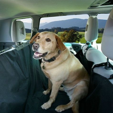 Hammock Style Backseat Cover : $17.99 + Free S/H (reg. $89.99)  http://www.mybargainbuddy.com/hammock-style-backseat-cover-17-99-free-sh Backseat Cover, Seat Hammock, Itchy Dog, Dog Hammock, Dog Cover, Pet Hammock, Dog Top, Car Seat Protector, Dog Car Seat Cover