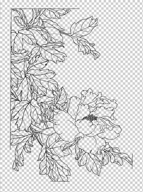 Flower Painting Outline, Chinese Peony Drawing, Flower Line Art Png, Peony Flower Outline, Flowers Outline Drawing, Flower Outline Art, Peonies Sketch, Peony Outline, Transparent Artwork