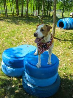 Diy Dog Playground, Outdoor Dog Area, Dog Play Area, Dog Friendly Backyard, Cat Playground Outdoor, Dog Backyard, Dog Agility Course, Dog Yard, Dog Playground