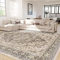 Boho Area Rugs, Brown Leather Couch Living Room, Bedroom Neutral, Office Farmhouse, Neutral Bedrooms, Carpet Rugs, Rugs For Living Room, Bedroom Vintage, Soft Carpet